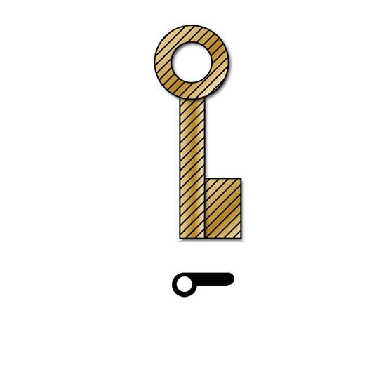 Chubb TS162B Brass Padlock Blank
