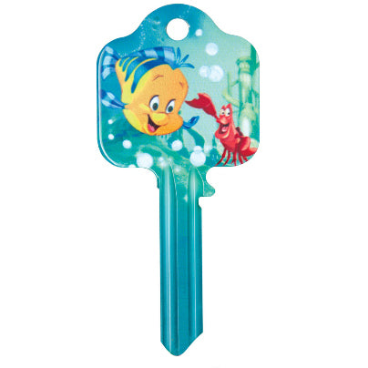 Universal 6 Pin Ariel Key