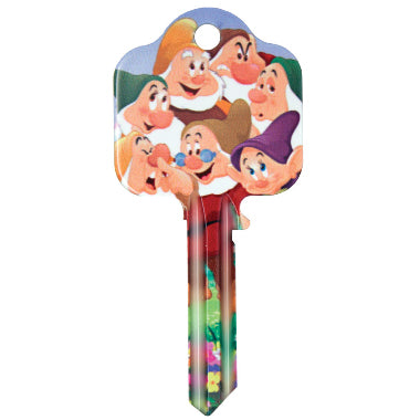 Universal 6 Pin Snow White Key